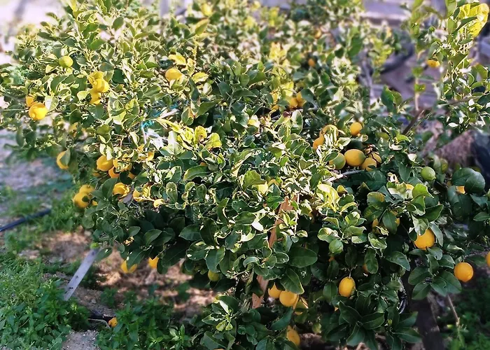 Sweet Nikorenia 2 Σπίτι διακοπών Krotiri